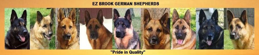 EZ Brook German Shepherds, Imported czech slovak working dogs